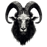 Realistic Surreal Ram Head Wall Decal - Detailed Ink Illustration Art Sticker - Decords