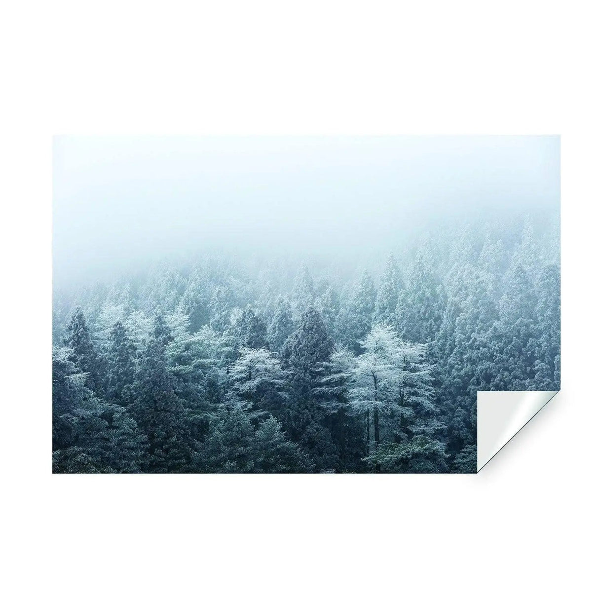 Misty Pine Hill Wall Mural: Enchanting Forest Artwork for Transformative Ambiance - Decords