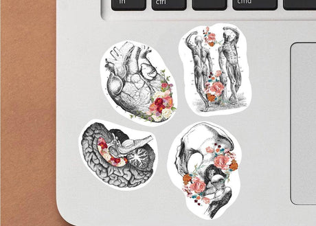 Medical Anatomy Decals: Unique Science-themed Stickers Ideal for Medicine Enthusiasts - Decords