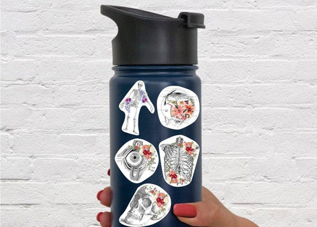 Anatomy Laptop Stickers: Versatile Tumbler & Water Bottle Decals with Anatomical Design - Decords