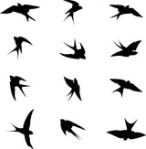 Window Decal Set - BirdSafe Protection & Aesthetic Enhancement - Decords