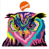 Colorful Owl Wall Sticker - Cute Bird Gift Vinyl Art Decor Decal - Decords