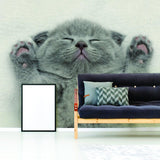 Cat Wallpaper Vinyl Decal Decor - Home Bedroom Peel And Stick Removable Gray Kitten Art Wall Sticker - Decords