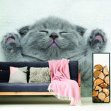 Cat Wallpaper Vinyl Decal Decor - Home Bedroom Peel And Stick Removable Gray Kitten Art Wall Sticker - Decords