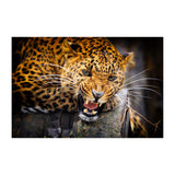 Jaguar Wallpaper Vinyl Decal Decor - Home Bedroom Peel And Stick Removable Art Wall Paper Sticker - Decords