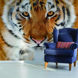 Tiger Wallpaper Stick And Peel Decal - 3d Orange Head Removable Wall Paper Sticker - Decords