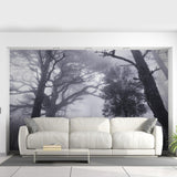 Foggy Forest Wallpaper Decal - Landscape Tree Wall Paper Mural Self Peel And Stick Sticker - Decords