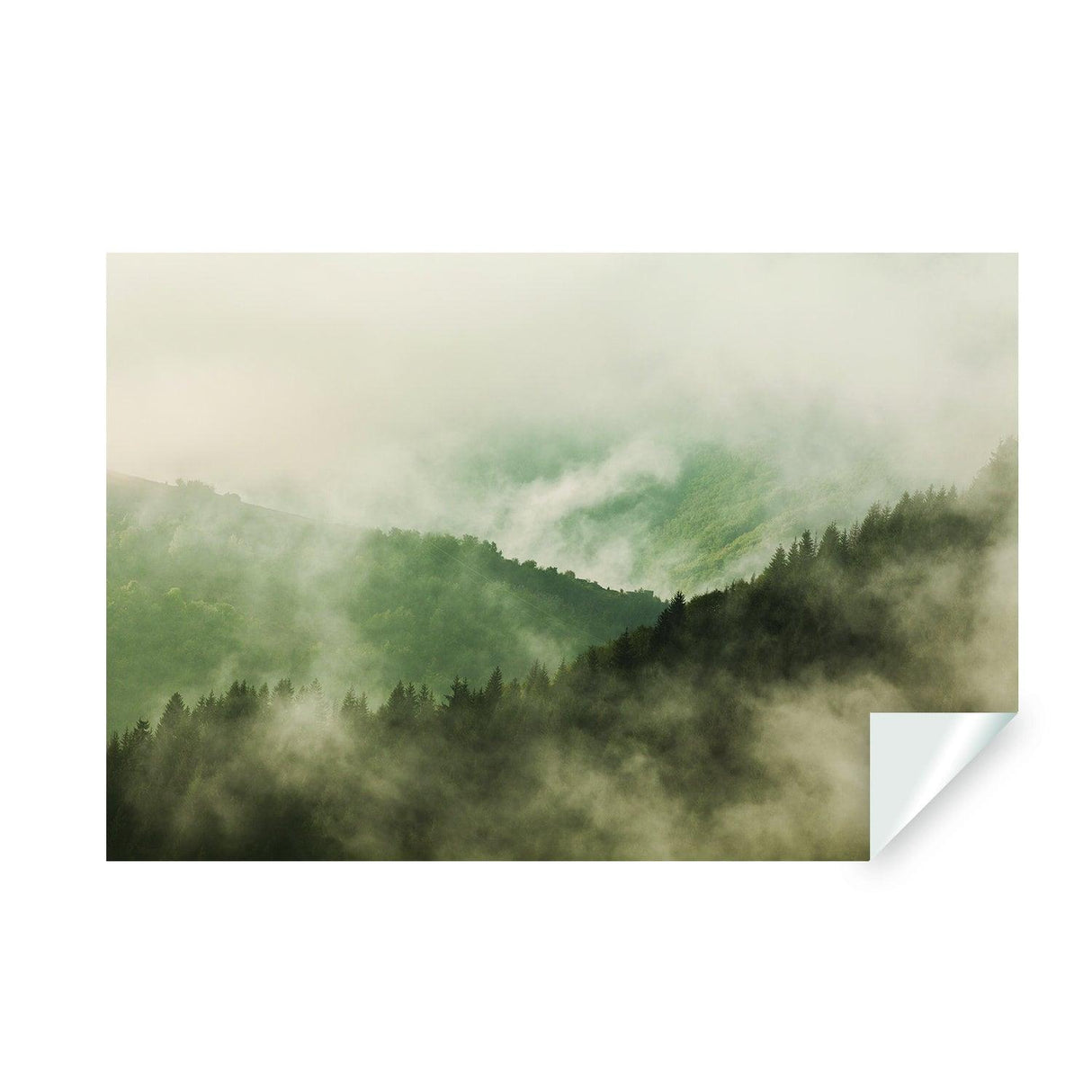 Foggy Forest Wallpaper Decal - Landscape Tree Wall Paper Mural Self Peel And Stick Sticker - Decords