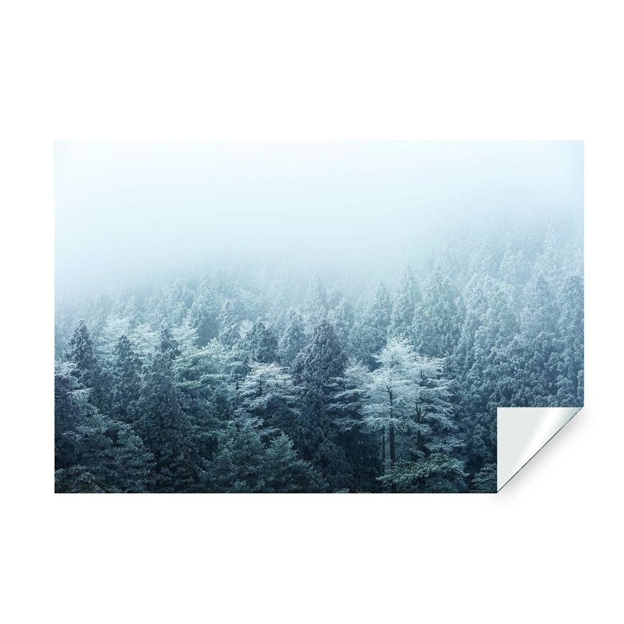 Foggy Forest Wallpaper Decal - Landscape Tree Wall Paper Mural Self Peel And Stick Sticker - Decords