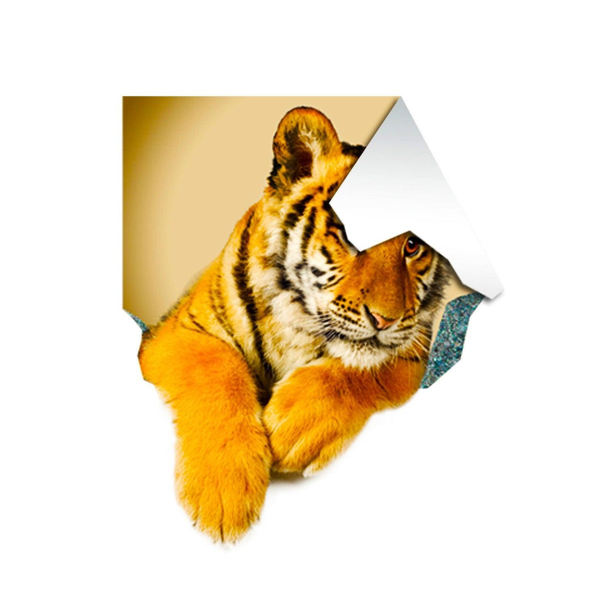 3d Tiger Sticker - Tiger Porthole Decoration Wall Decal For Bedroom - Decords