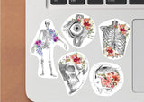 Anatomy Stickers for Hydroflask - Anatomical Decals Gift for Doctors and Medical Students - Decords