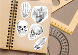 Educational Medical Skeleton Decals - Anatomy Stickers for Learning - Decords