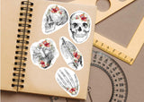 Educational Medical Skeleton Decals - Anatomy Stickers for Learning - Decords