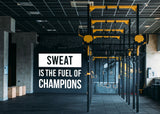 Gym Quote Wall Decal - Sweat is the Fuel Fitness Workout Motivation Sticker - Decords