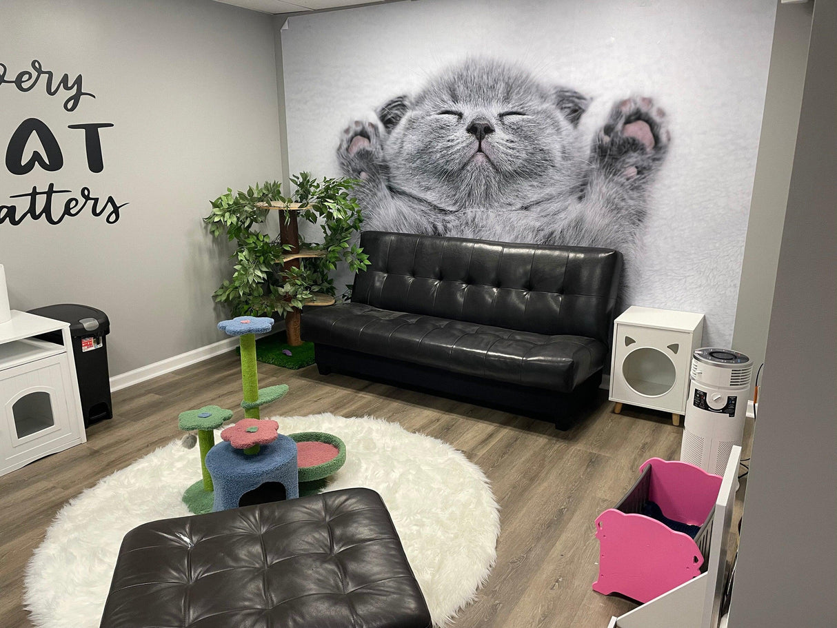 Cat Wallpaper Vinyl Decal Decor - Home Bedroom Peel And Stick Removable Gray Kitten Art Wall Sticker - Decords