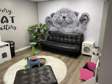 Cat Wallpaper Vinyl Decal Decor - Home Bedroom Peel And Stick Removable Gray Kitten Art Wall Sticker - Decords